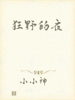 狂野的夜