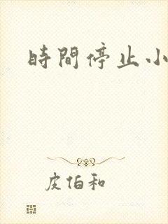时间停止小说