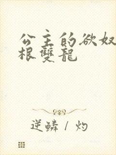 公主的欲奴h四根双龙