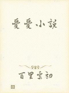 爱爱小说