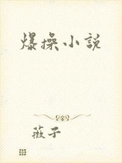 爆操小说