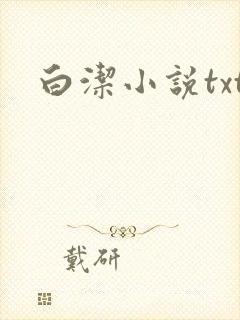 白洁小说txt