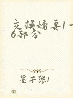交换娇妻1一36部分