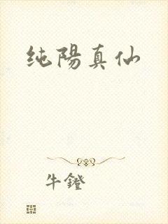 纯阳真仙