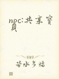npc:共享宝贝封面