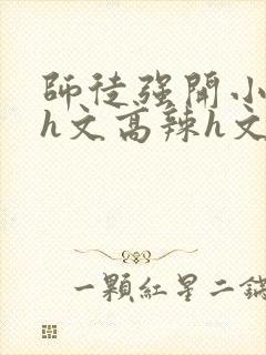 师徒强开小嫩苞h文高辣h文