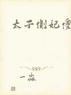 太子侧妃傻乎乎