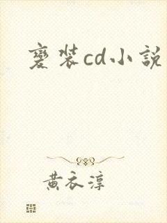 变装cd小说封面