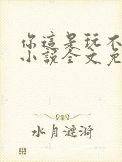 你这是玩不起呀小说全文免费阅读