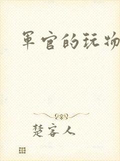军官的玩物封面