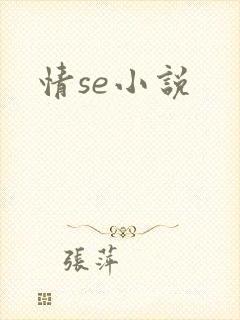 情se小说