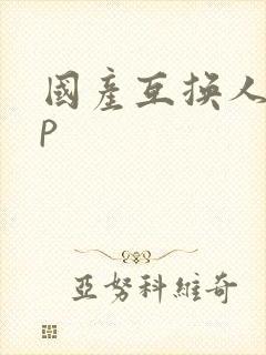 国产互换人妻4p