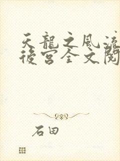 天龙之风流猎艳后宫全文阅读