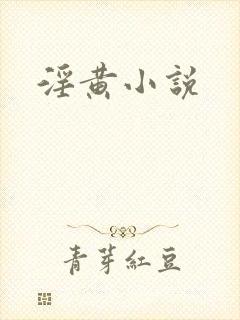 淫黄小说