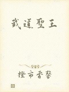 武道圣王