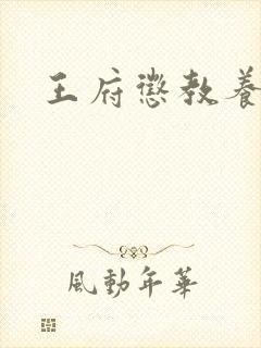 王府惩教养日常