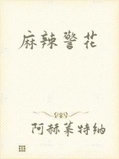 麻辣警花