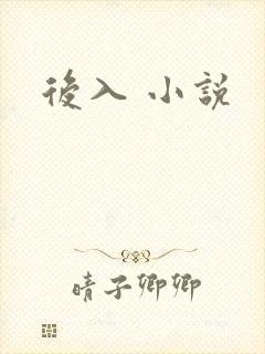 后入 小说