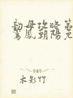 韵母攻略第二部鸾凤朝阳免费阅读