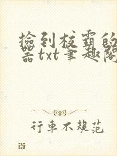 捡到校霸的遥控器txt笔趣阁