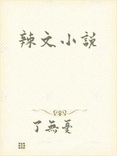 辣文小说