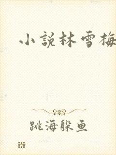 小说林雪梅