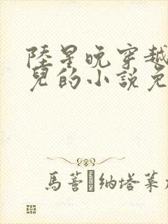 《陆星晚穿越成婴儿的小说免费阅读全文》小说封面