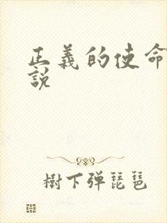 正义的使命 小说