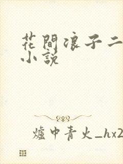 花间浪子二十部小说