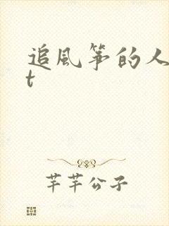 追风筝的人txt