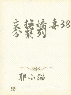 交换娇妻38部分系列