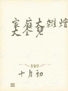 家庭大杂烩小说大全儿