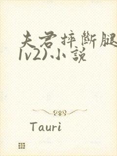 夫君摔断腿后(1v2)小说