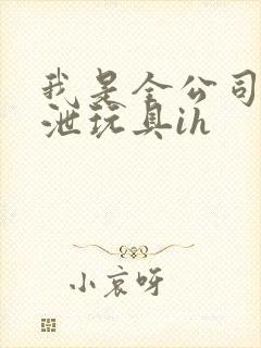 我是全公司的发泄玩具ih