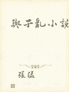 与子乱小说