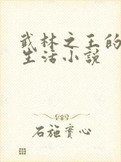 武林之王的退隐生活小说