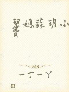 儿媳苏玥小说免费