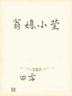 翁媳小莹封面