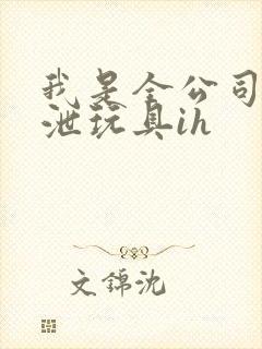 我是全公司的发泄玩具ih