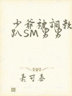 少爷被调教室跪趴SM男男