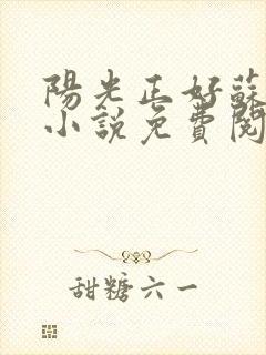 阳光正好苏玥玥小说免费阅读无弹窗