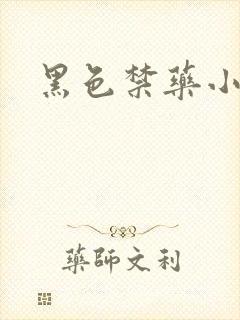 黑色禁药小说