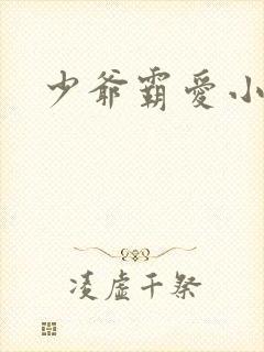 少爷霸爱小丫头