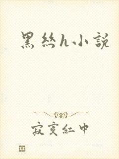 黑丝h小说