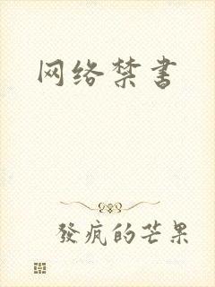 网络禁书
