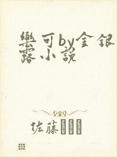 乐可by金银花露小说