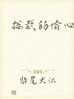 总裁的偷心娇妻