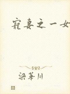 宠妻之一女二夫