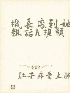 机长脔到她哭h粗话h视频