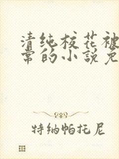 清纯校花被擒日常的小说免费阅读